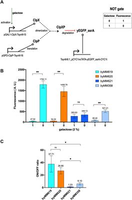 NOT Gates Based on Protein Degradation as a Case Study for a New Modular Modeling via SBML Level 3—Comp Package